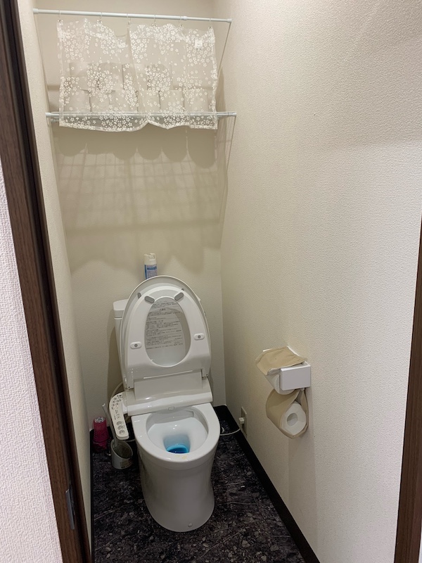 pattern-warabi-toilet2
