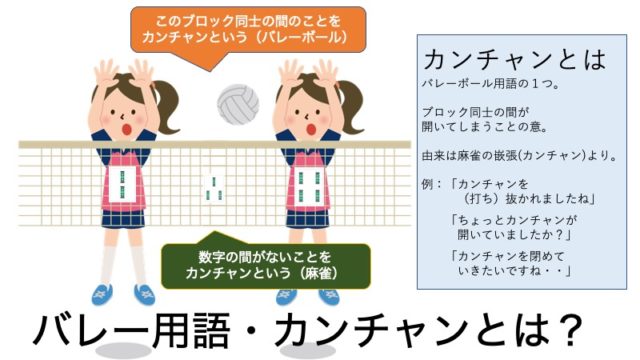 kanchan-volleyball