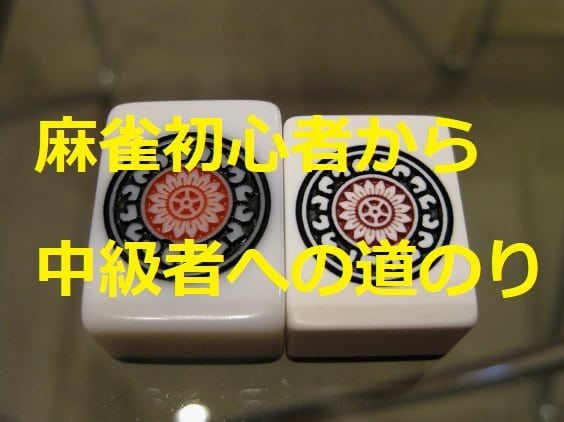 beginner
