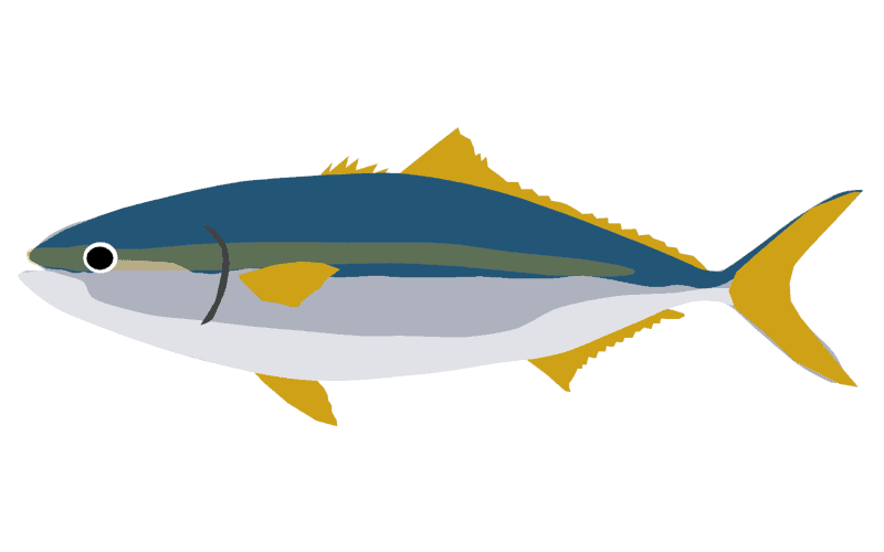 buri