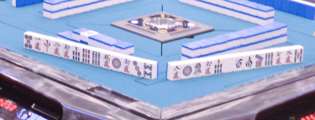 haipai-jyouge-sorou